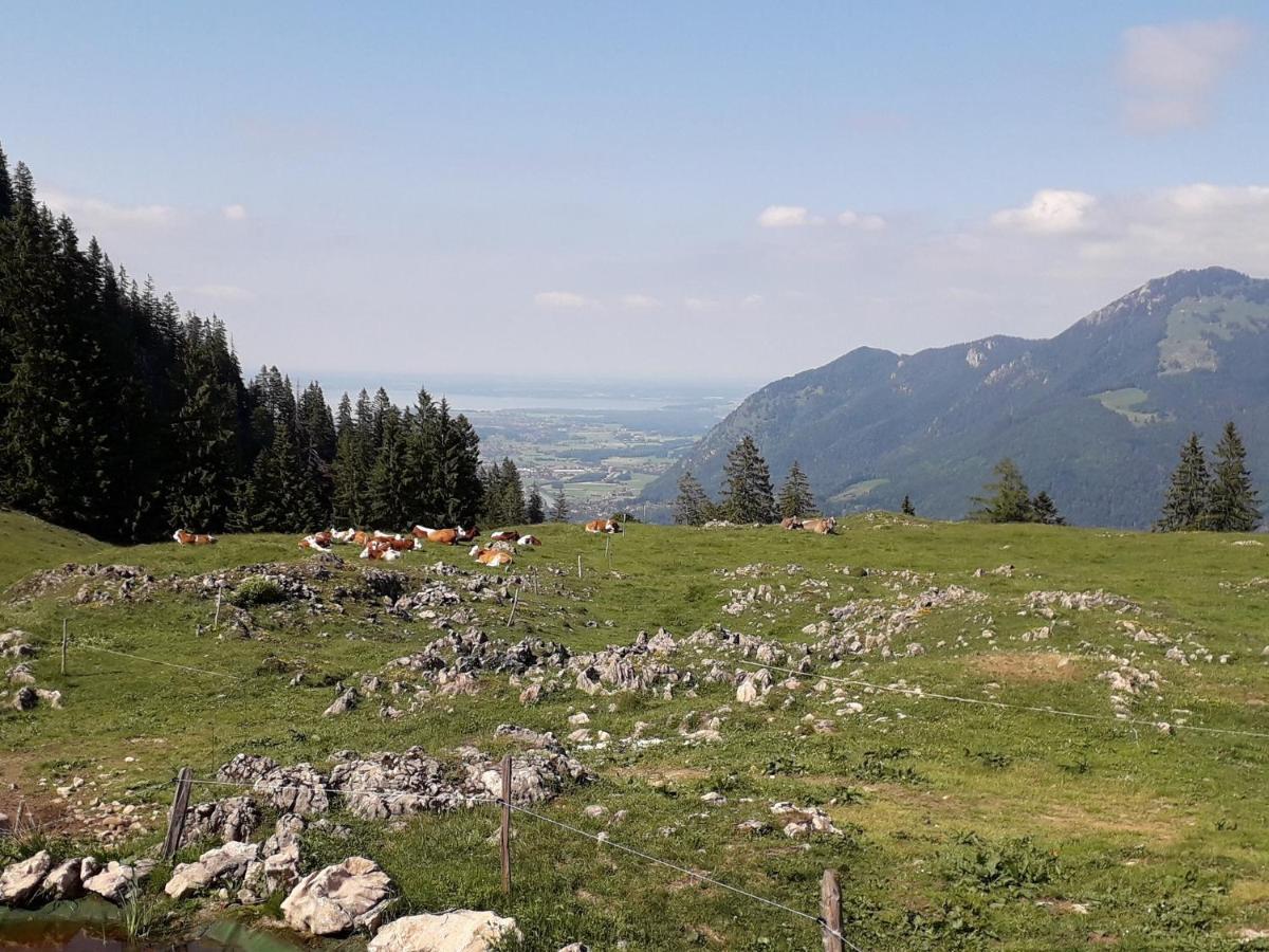 Ferienwohnung Bergzeit Oberwössen Esterno foto